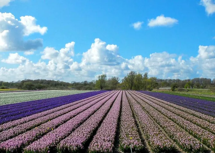 B&B Het Ruime Sop
